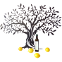 Huile d'Olive parfumée au citron 50 cl